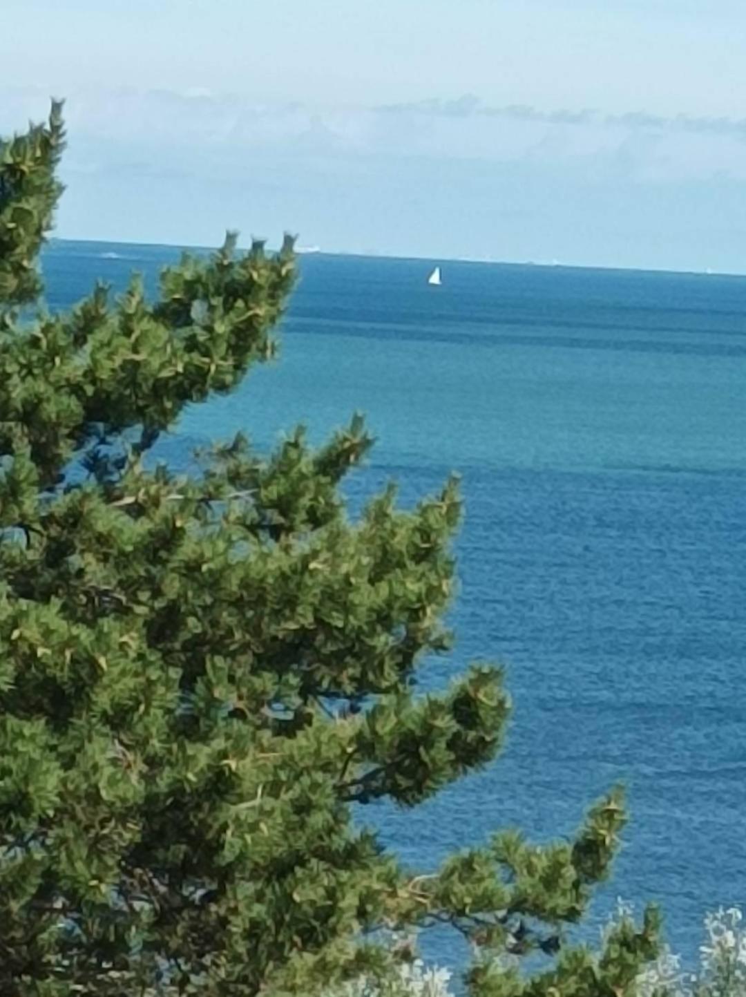 Le Cottage Vue Mer Bénerville-sur-Mer Eksteriør bilde